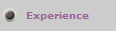 Experience