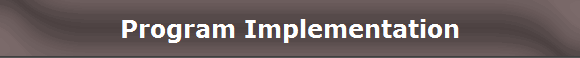 Program Implementation